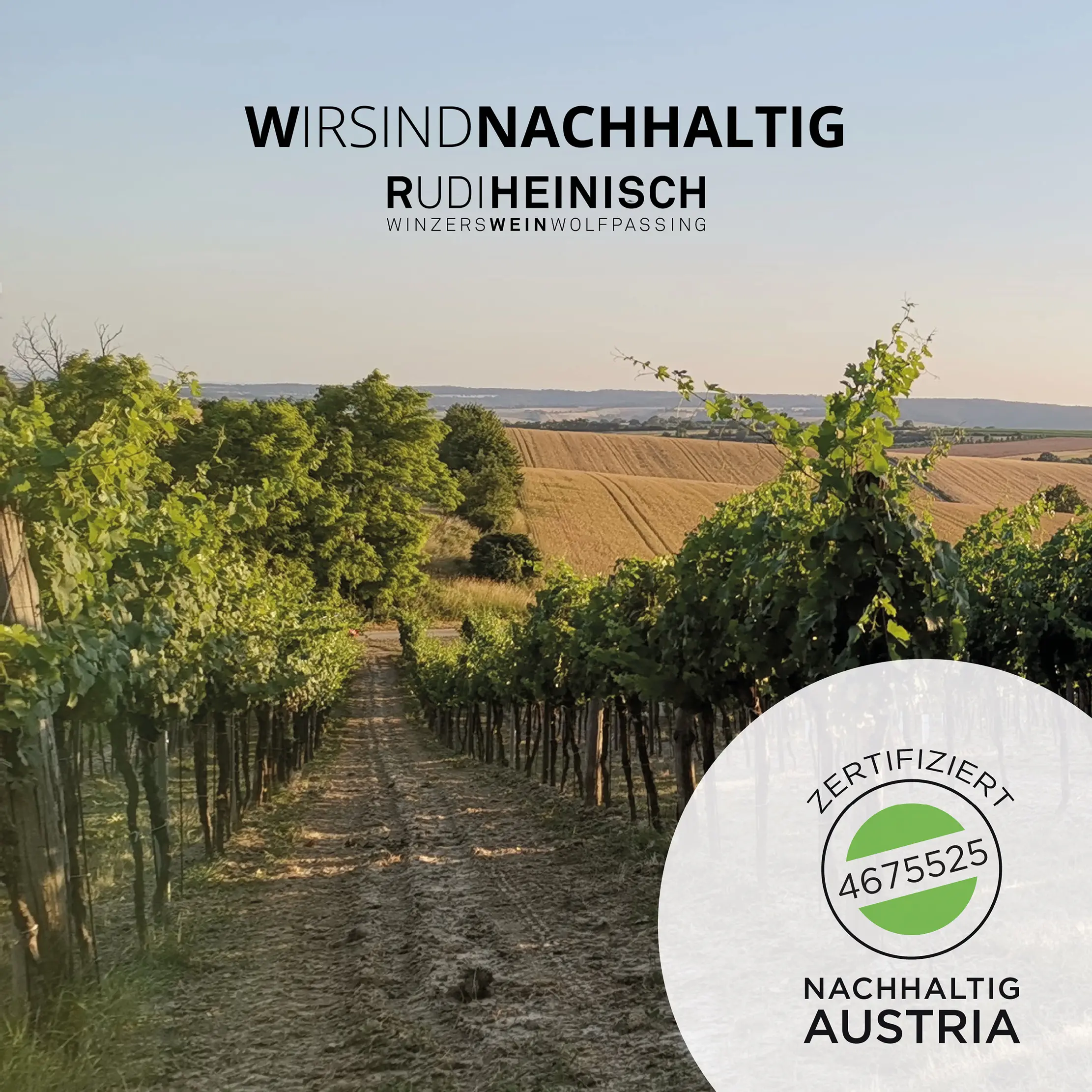 Einsigartig Weingut Heinisch Social Media2