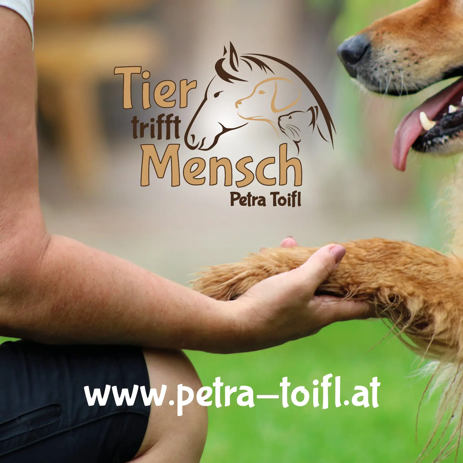 Einsigartig Petra Toifl Website