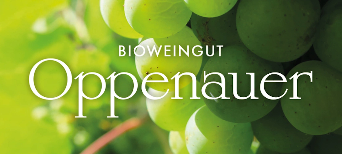 Einsigartig Bioweingut Oppenauer Website1